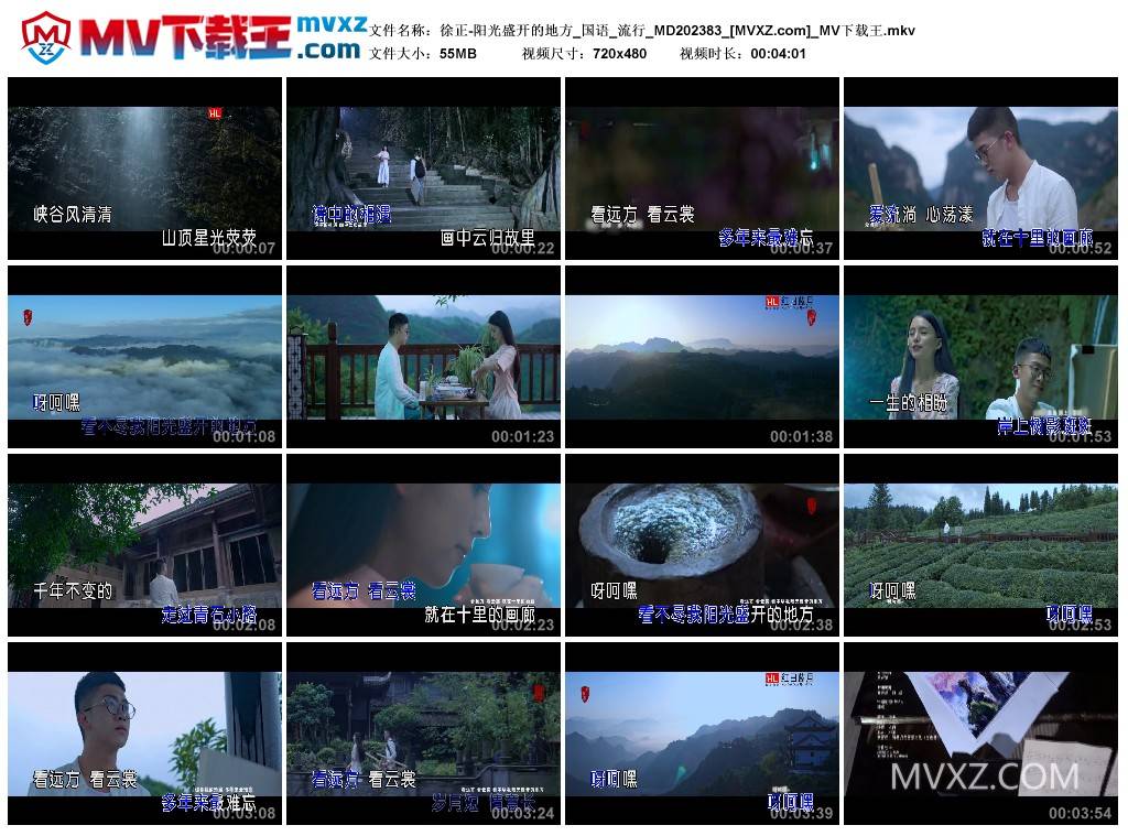 徐正-阳光盛开的地方_国语_流行_MD202383